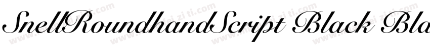 SnellRoundhandScript Black BlackI字体转换